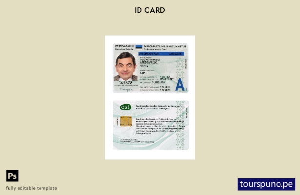 Listo para imprimir la plantilla actual de tarjeta de identificación diplomática